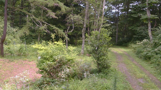 長野県菅平高原 ゆたか山荘 坂上 2026/08/17 12:45