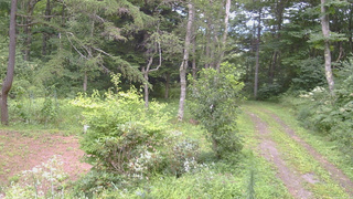 長野県菅平高原 ゆたか山荘 坂上 2026/08/17 13:00