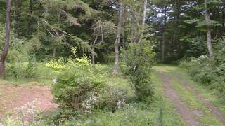 長野県菅平高原 ゆたか山荘 坂上 2026/08/17 13:15