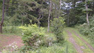 長野県菅平高原 ゆたか山荘 坂上 2026/08/17 13:30