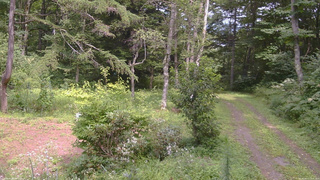 長野県菅平高原 ゆたか山荘 坂上 2026/08/17 13:45