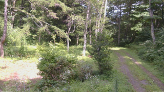 長野県菅平高原 ゆたか山荘 坂上 2026/08/17 14:00