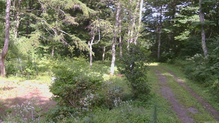 長野県菅平高原 ゆたか山荘 坂上 2026/08/17 14:15