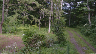 長野県菅平高原 ゆたか山荘 坂上 2026/08/17 14:30
