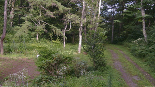 長野県菅平高原 ゆたか山荘 坂上 2026/08/17 14:45