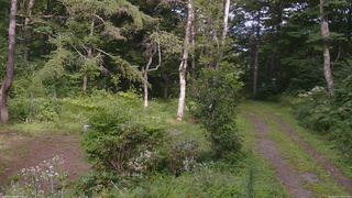 長野県菅平高原 ゆたか山荘 坂上 2026/08/17 15:00