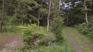 長野県菅平高原 ゆたか山荘 坂上 2026/08/17 15:15
