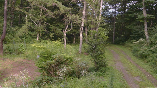 長野県菅平高原 ゆたか山荘 坂上 2026/08/17 15:30