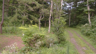 長野県菅平高原 ゆたか山荘 坂上 2026/08/17 15:45