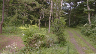 長野県菅平高原 ゆたか山荘 坂上 2026/08/17 16:00