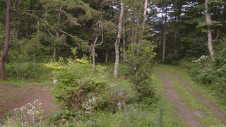 長野県菅平高原 ゆたか山荘 坂上 2026/08/17 16:15