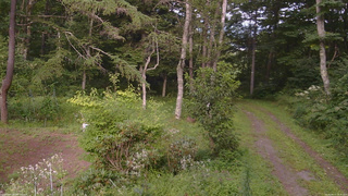 長野県菅平高原 ゆたか山荘 坂上 2026/08/17 16:30