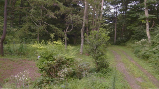 長野県菅平高原 ゆたか山荘 坂上 2026/08/17 17:00