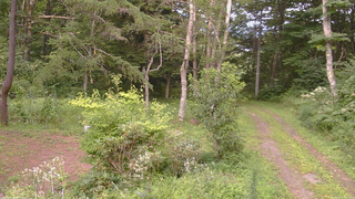 長野県菅平高原 ゆたか山荘 坂上 2026/08/17 17:15