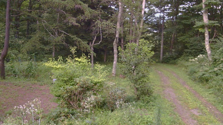 長野県菅平高原 ゆたか山荘 坂上 2026/08/17 17:30