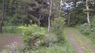 長野県菅平高原 ゆたか山荘 坂上 2026/08/17 17:45