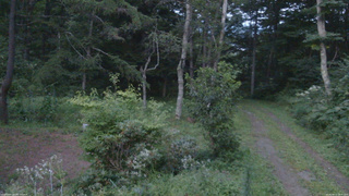 長野県菅平高原 ゆたか山荘 坂上 2026/08/17 18:45