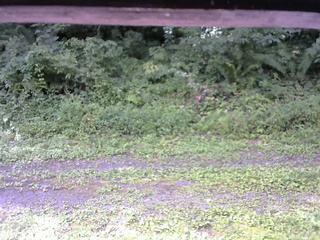 長野県菅平高原 ゆたか山荘 東側(坂下) 2026/08/18 08:45