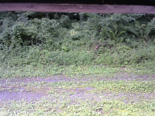 長野県菅平高原 ゆたか山荘 東側(坂下) 2026/08/18 09:00