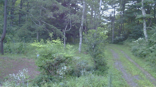 長野県菅平高原 ゆたか山荘 坂上 2026/08/18 05:15