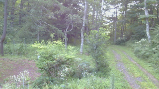 長野県菅平高原 ゆたか山荘 坂上 2026/08/18 05:30