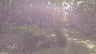 長野県菅平高原 ゆたか山荘 坂上 2026/08/18 08:00