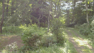 長野県菅平高原 ゆたか山荘 坂上 2026/08/18 08:15