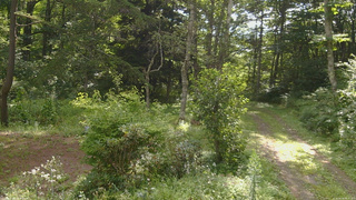 長野県菅平高原 ゆたか山荘 坂上 2026/08/18 08:30