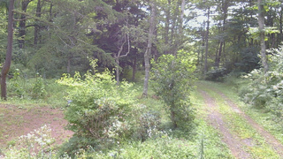 長野県菅平高原 ゆたか山荘 坂上 2026/08/18 09:00