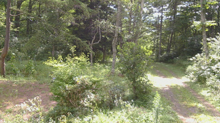 長野県菅平高原 ゆたか山荘 坂上 2026/08/18 09:15