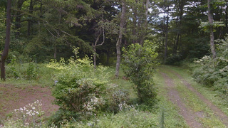 長野県菅平高原 ゆたか山荘 坂上 2026/08/18 09:30