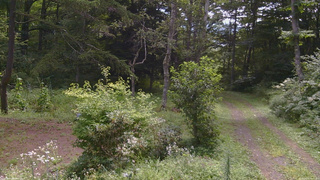長野県菅平高原 ゆたか山荘 坂上 2026/08/18 09:45