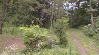 長野県菅平高原 ゆたか山荘 坂上 2026/08/18 10:15