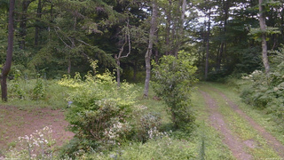 長野県菅平高原 ゆたか山荘 坂上 2026/08/18 10:30