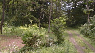 長野県菅平高原 ゆたか山荘 坂上 2026/08/18 10:45