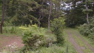 長野県菅平高原 ゆたか山荘 坂上 2026/08/18 11:00