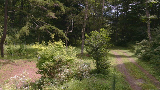 長野県菅平高原 ゆたか山荘 坂上 2026/08/18 11:30