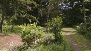 長野県菅平高原 ゆたか山荘 坂上 2026/08/18 11:45