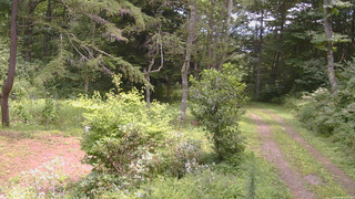 長野県菅平高原 ゆたか山荘 坂上 2026/08/18 12:00