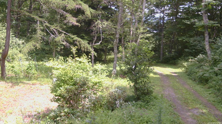 長野県菅平高原 ゆたか山荘 坂上 2026/08/18 12:30