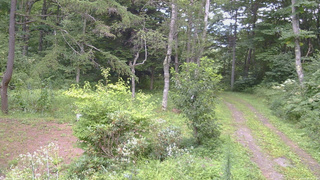 長野県菅平高原 ゆたか山荘 坂上 2026/08/18 13:00