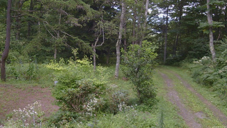 長野県菅平高原 ゆたか山荘 坂上 2026/08/18 13:15