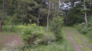 長野県菅平高原 ゆたか山荘 坂上 2026/08/18 13:30