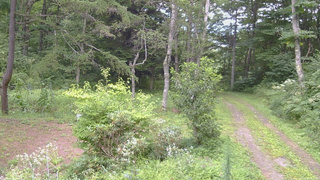 長野県菅平高原 ゆたか山荘 坂上 2026/08/18 13:45