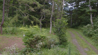 長野県菅平高原 ゆたか山荘 坂上 2026/08/18 14:00