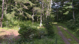 長野県菅平高原 ゆたか山荘 坂上 2026/08/18 14:15