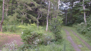 長野県菅平高原 ゆたか山荘 坂上 2026/08/18 14:30