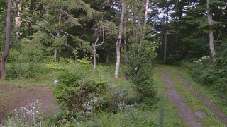 長野県菅平高原 ゆたか山荘 坂上 2026/08/18 14:45
