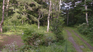 長野県菅平高原 ゆたか山荘 坂上 2026/08/18 15:00