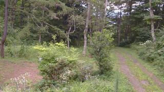 長野県菅平高原 ゆたか山荘 坂上 2026/08/18 17:15